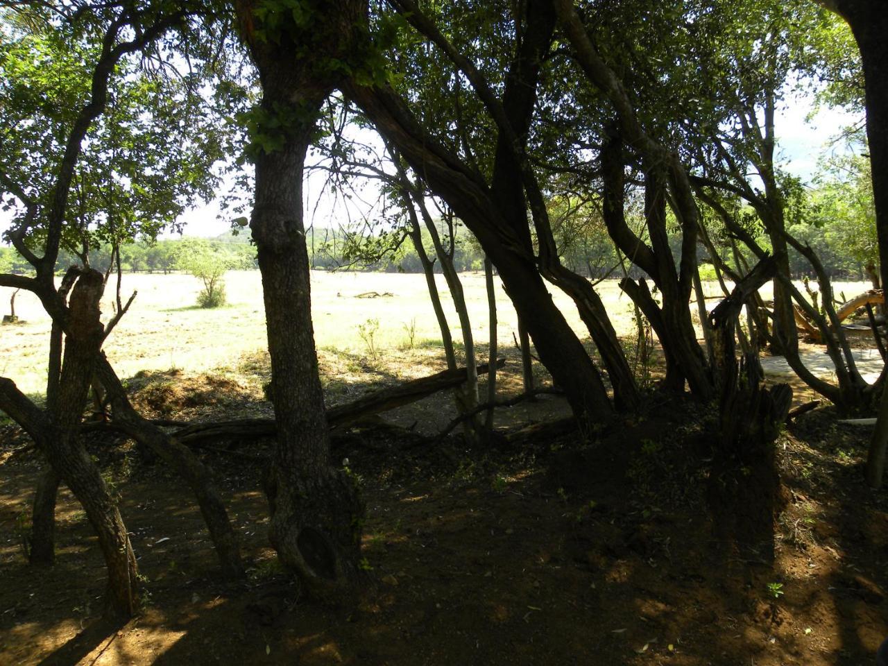 Kosmos Harties Is Africa Safari Lodge מראה חיצוני תמונה