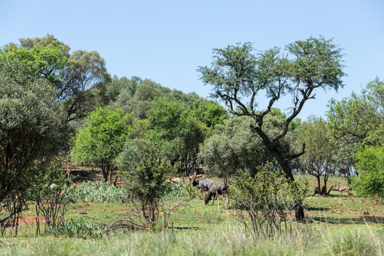 Kosmos Harties Is Africa Safari Lodge מראה חיצוני תמונה
