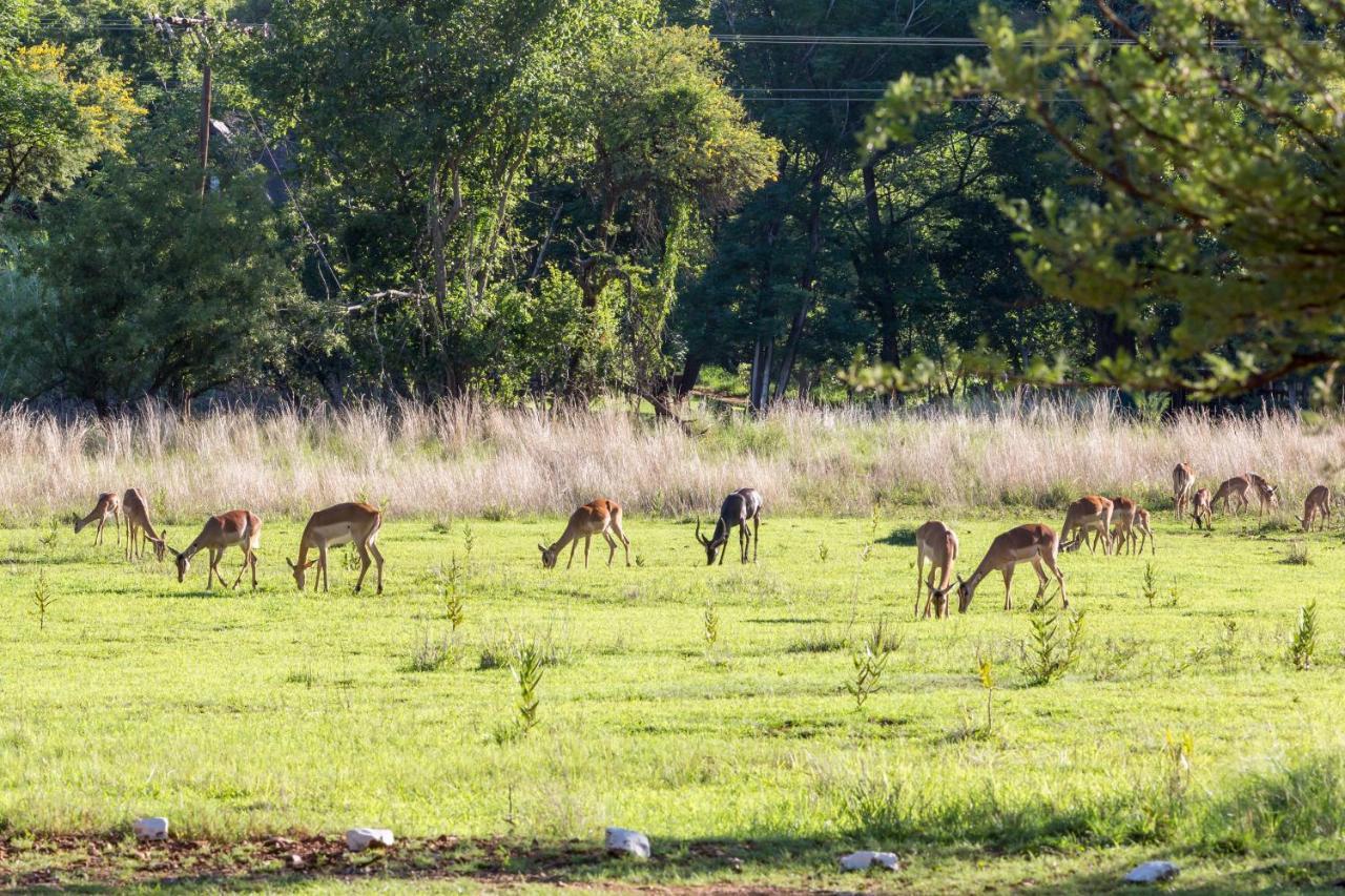 Kosmos Harties Is Africa Safari Lodge מראה חיצוני תמונה