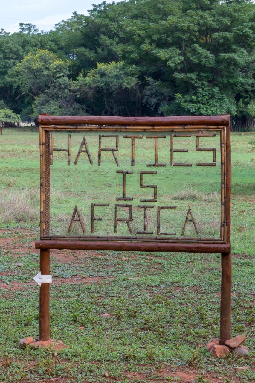 Kosmos Harties Is Africa Safari Lodge מראה חיצוני תמונה
