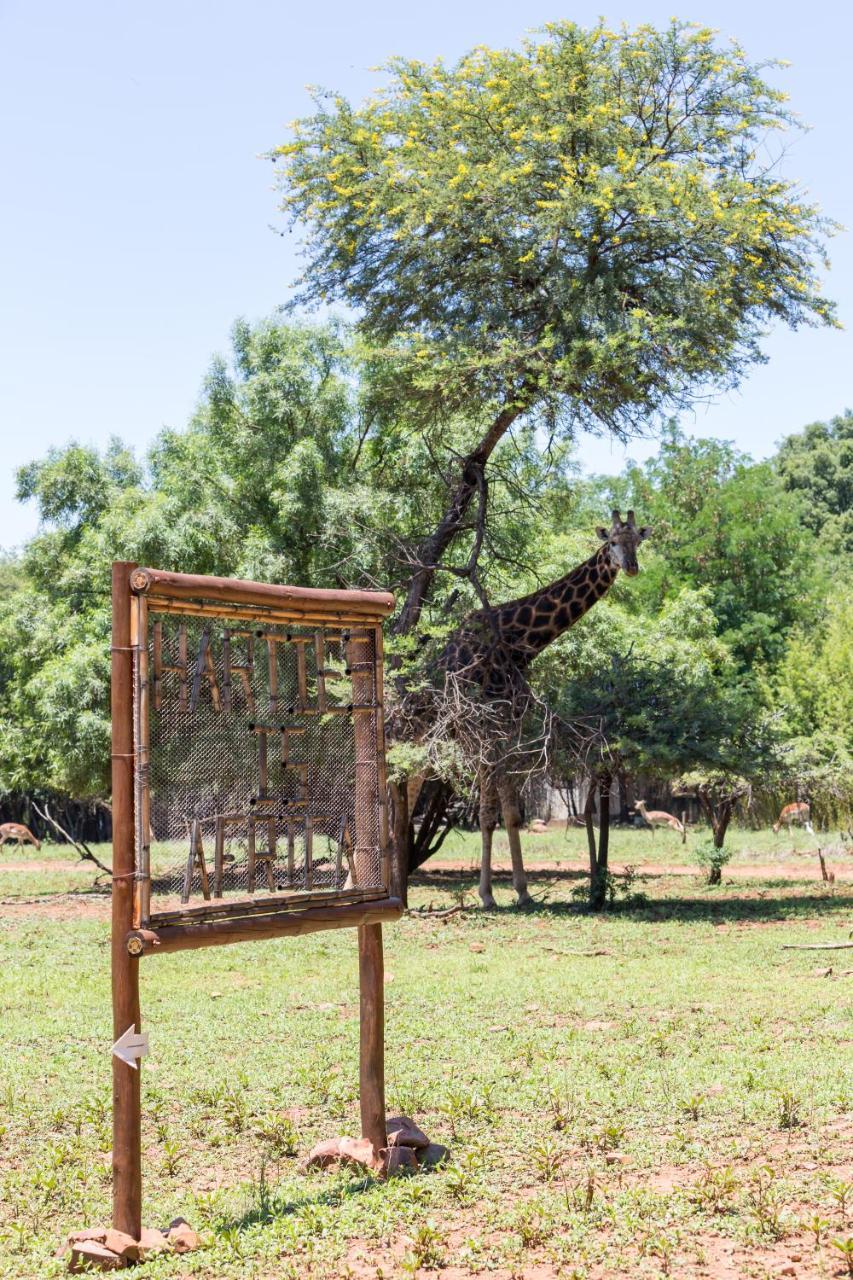 Kosmos Harties Is Africa Safari Lodge מראה חיצוני תמונה